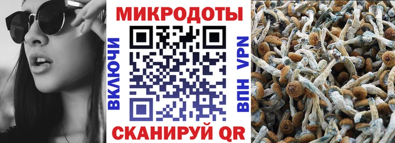 Галлюциногенные грибы прущие грибы  blacksprut ONION  Ленинградская 